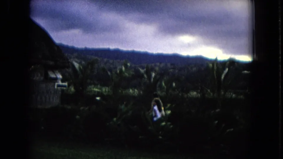 Two women appear in a shadowed Honolulu garden with palms, thatched roofing, distant hills, and a bright cloudy sky.