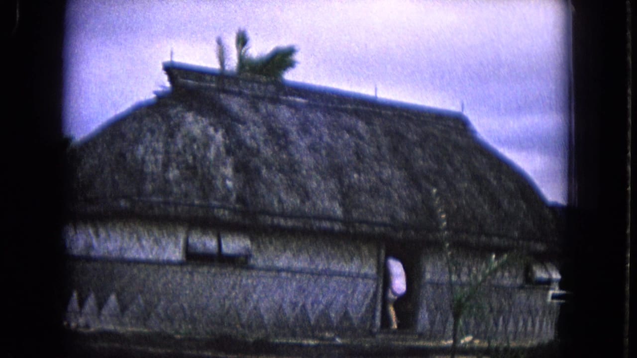 Thatched roof hut with woven walls and palm fronds above the roofline.