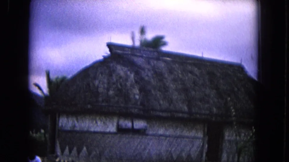 The 8mm camera continues across the thatched structure, holding on the roof, woven wall surface, and palm shapes behind it.
