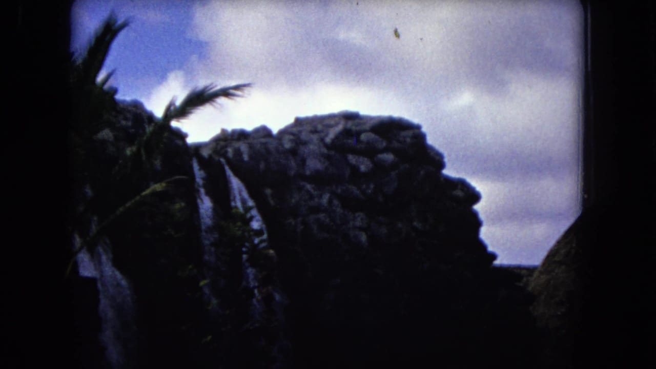 Palm fronds and dark rock beside a narrow waterfall under a bright sky.