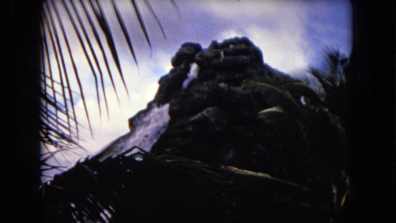 Dark rock waterfall framed by silhouetted palm fronds.