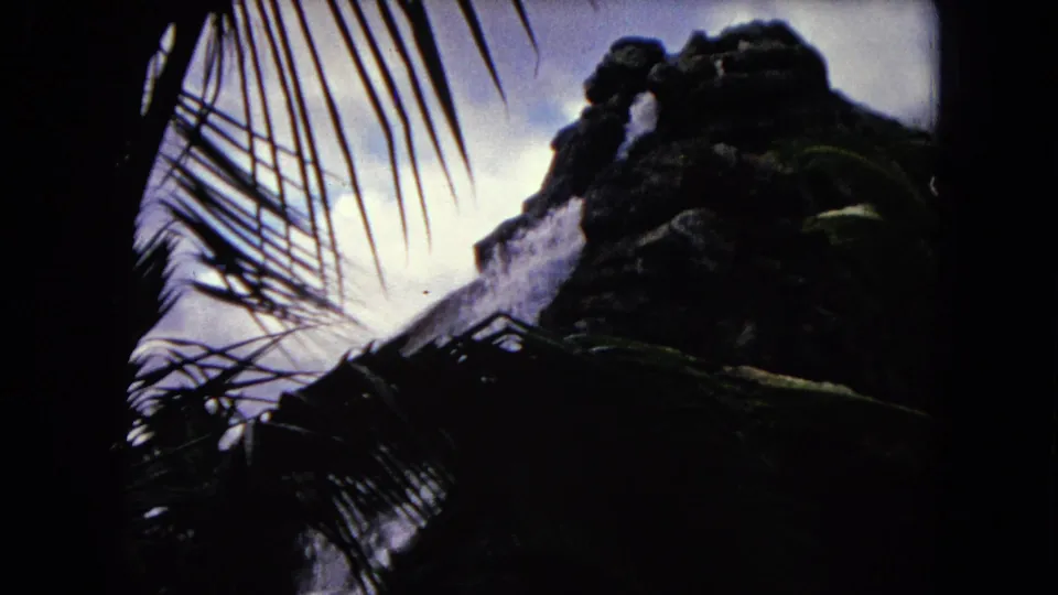 1968 Honolulu 8mm frame with palm fronds crossing the view of a dark landscaped waterfall feature.