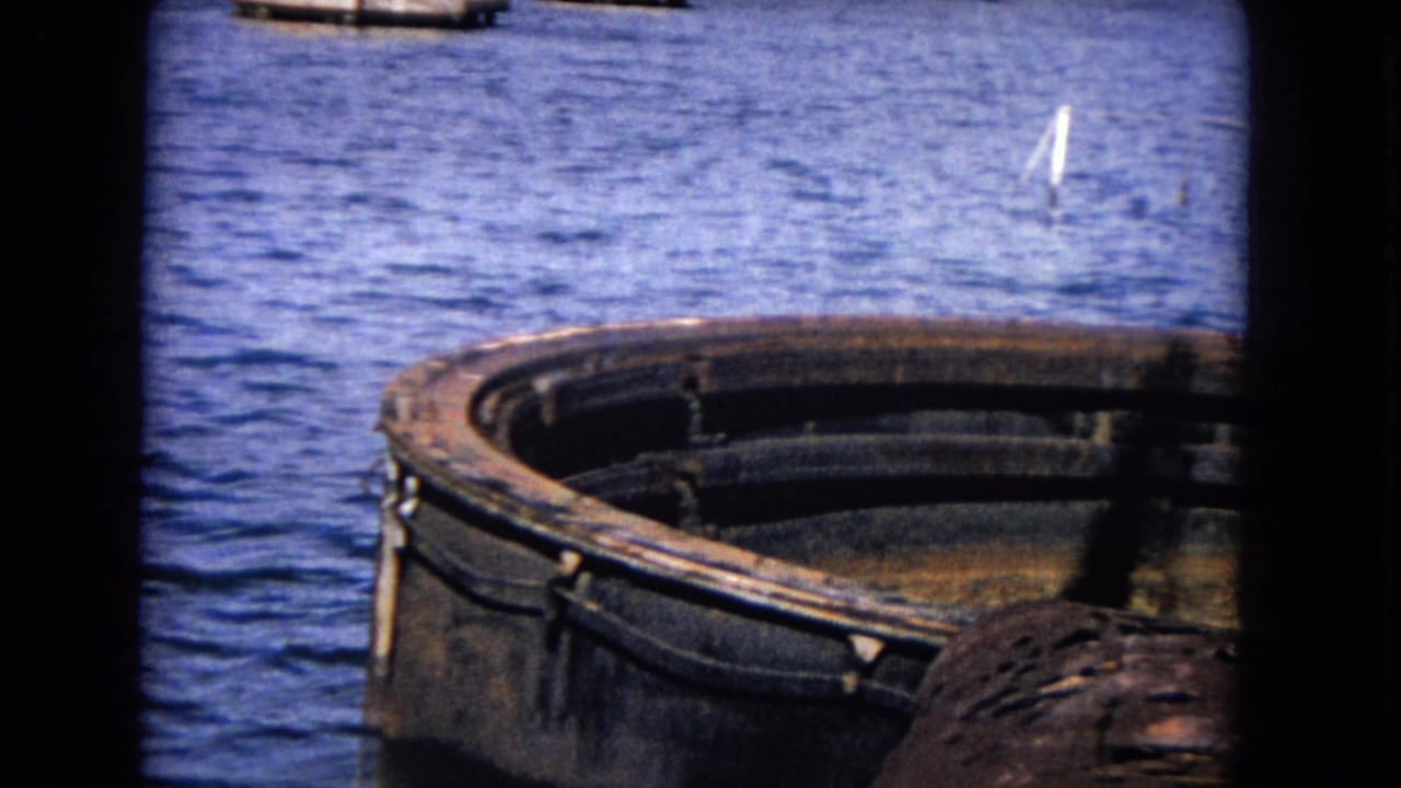 A curved rusted metal structure rises from rippled blue water near dark frame edges.