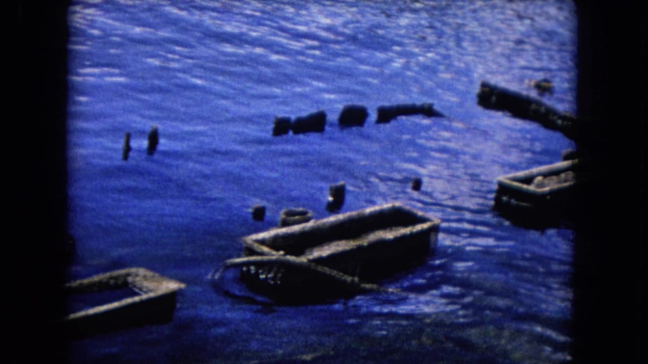 Small floating rafts and debris on blue water within a dark film frame.