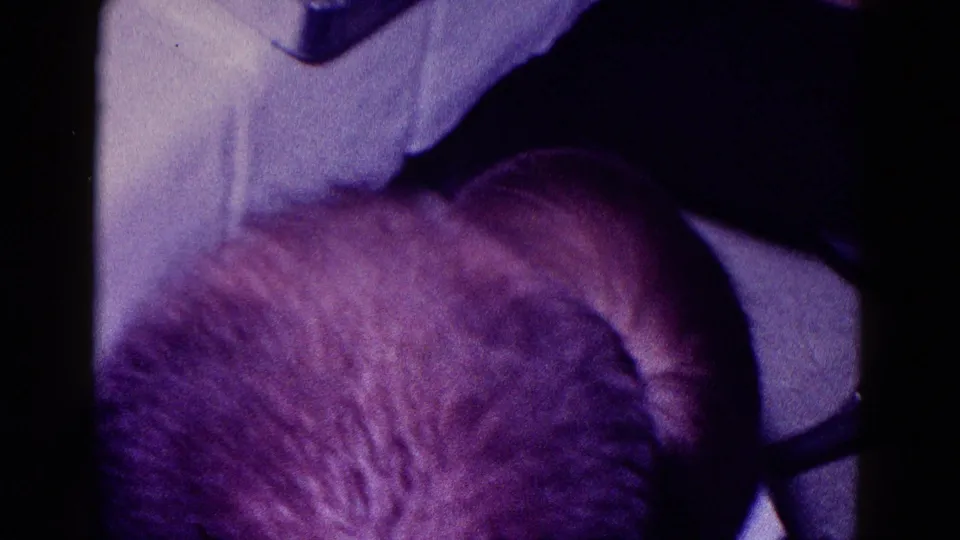 1968 Minnesota home-movie frame showing the back of a young child's head beside the family table in a dim private interior.