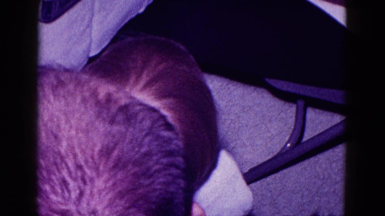 1968 Minnesota 8mm frame showing a close low-angle view of a gray-haired seated person in a dark indoor setting.