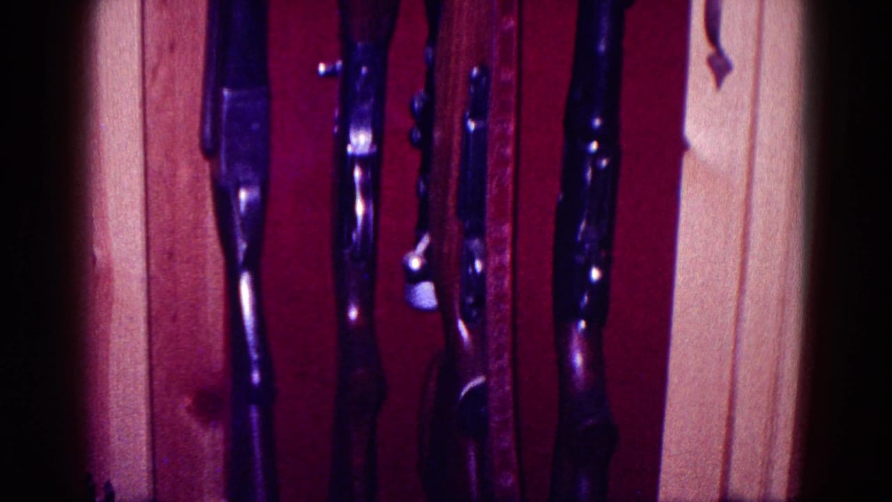 Close 8mm view of multiple rifles standing in a wooden display cabinet, with red fabric backing and soft focus.