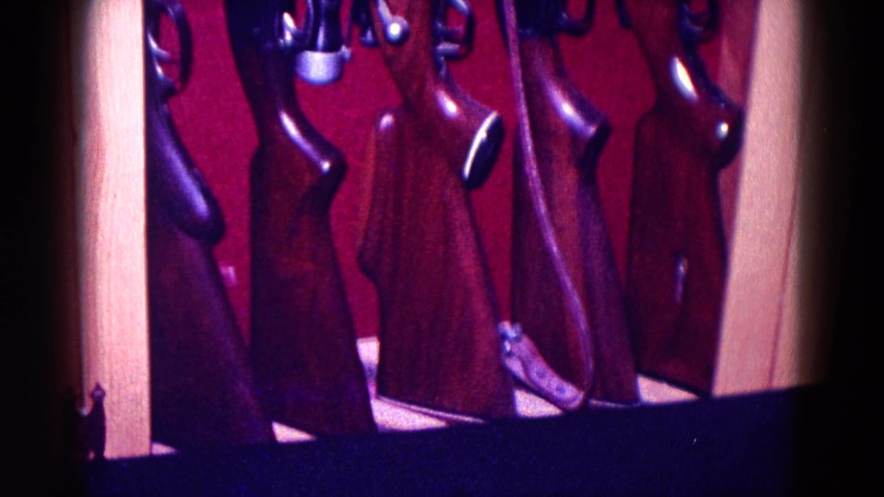The zoom moves closer to several rifles with polished wooden stocks against red lining inside the gun case.