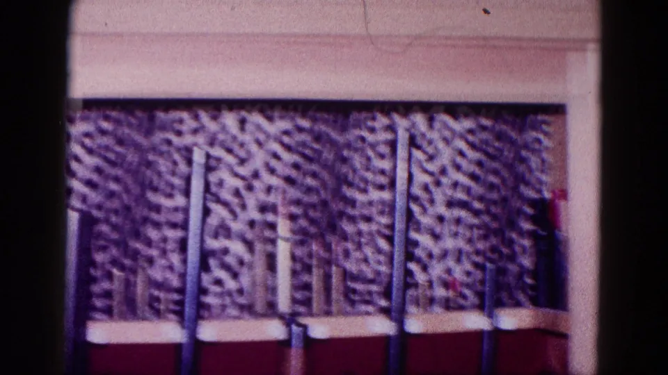 1968 Minnesota home-movie frame showing a mounted fish above a red-lined display area with vertical rods or long objects below.