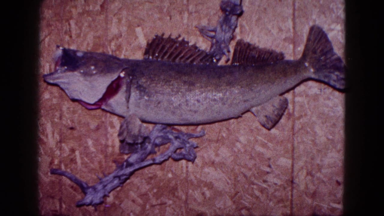1968 Minnesota 8mm frame showing a mounted fish trophy with open mouth and fins against a wood-paneled wall.