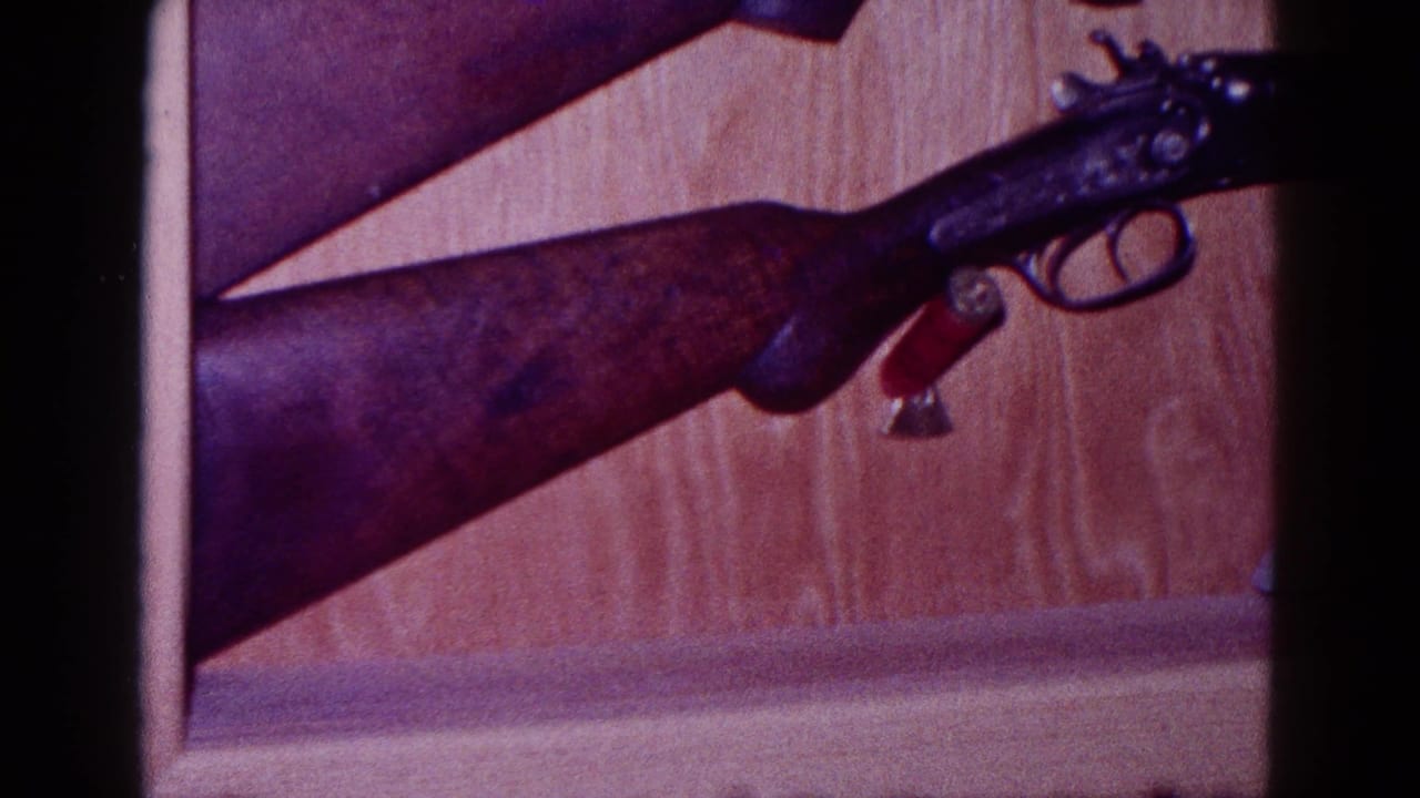 Double-barreled long gun mounted on a wooden wall above a shelf.