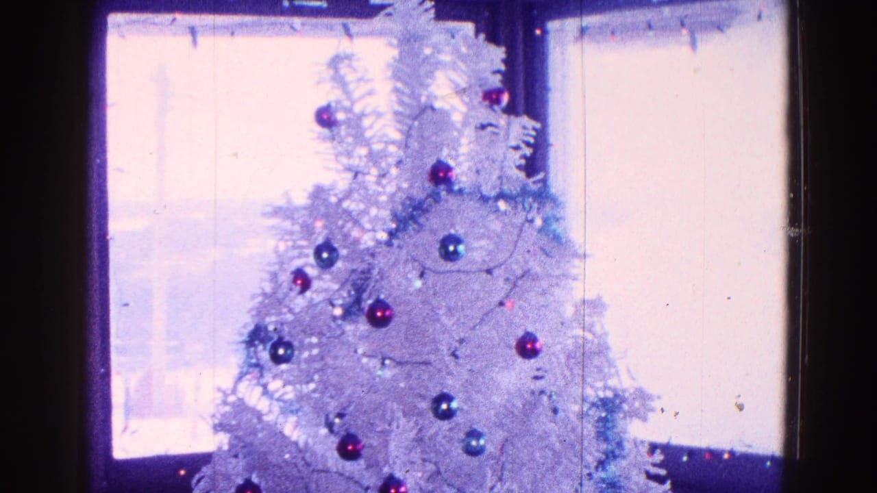 White Christmas tree with red and blue ornaments beside bright windows.
