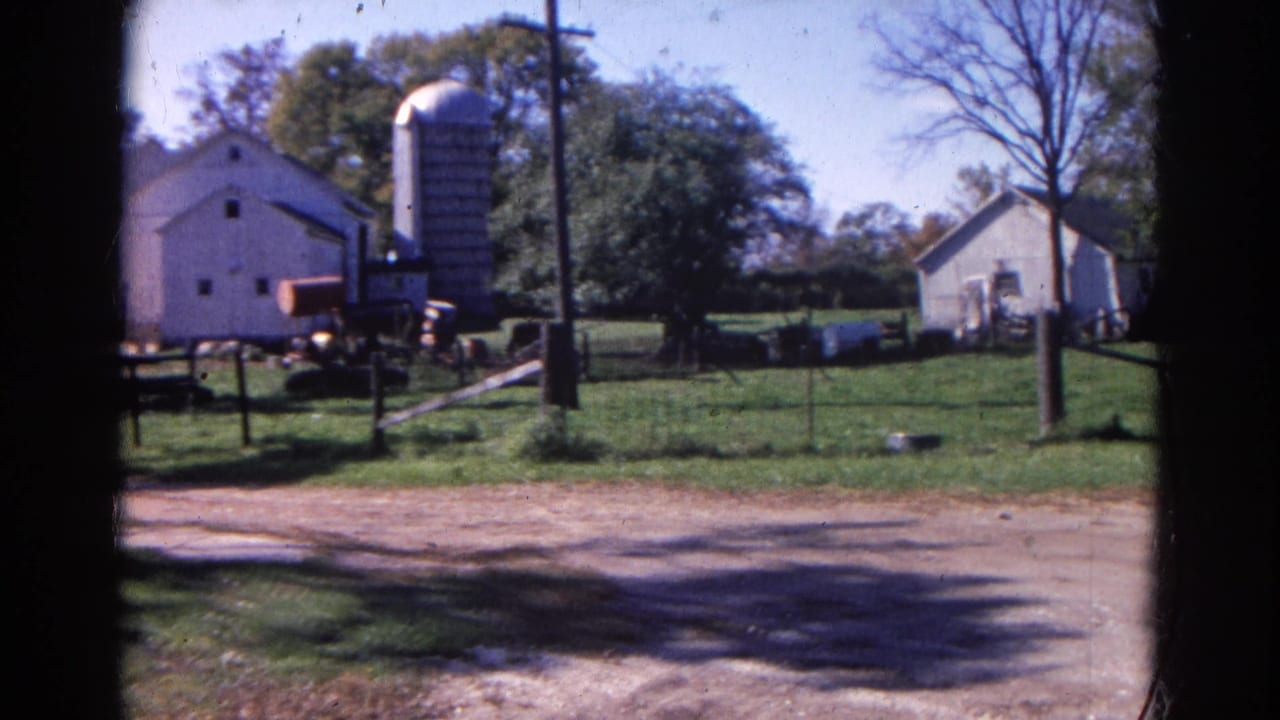 Rural farmyard with white buildings, a silo, trees, fencing, grass, and a dirt road in front.