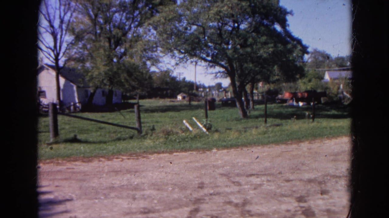 Grassy yard beside a dirt road with trees, fencing, and small houses in the background.