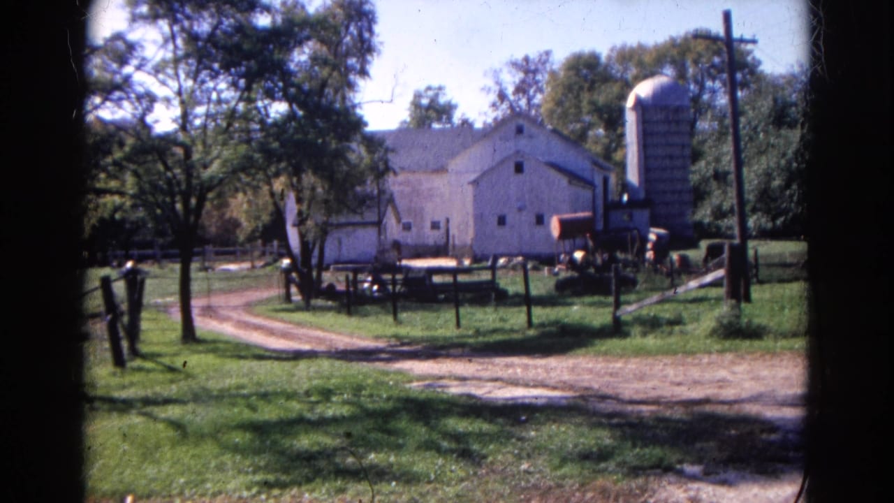 White farm buildings and silo beyond a dirt lane and grassy yard.