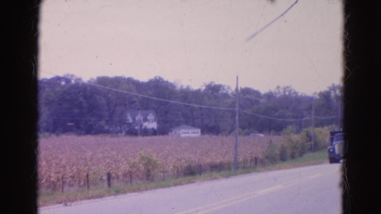 Rural two-lane road beside a cornfield with houses and utility poles in the distance.