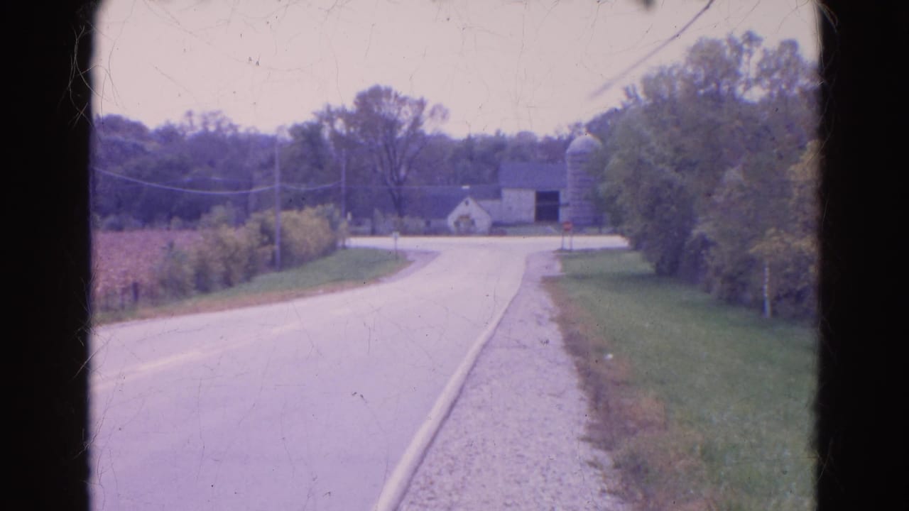 Rural road approaching a farmstead with a silo and trees.