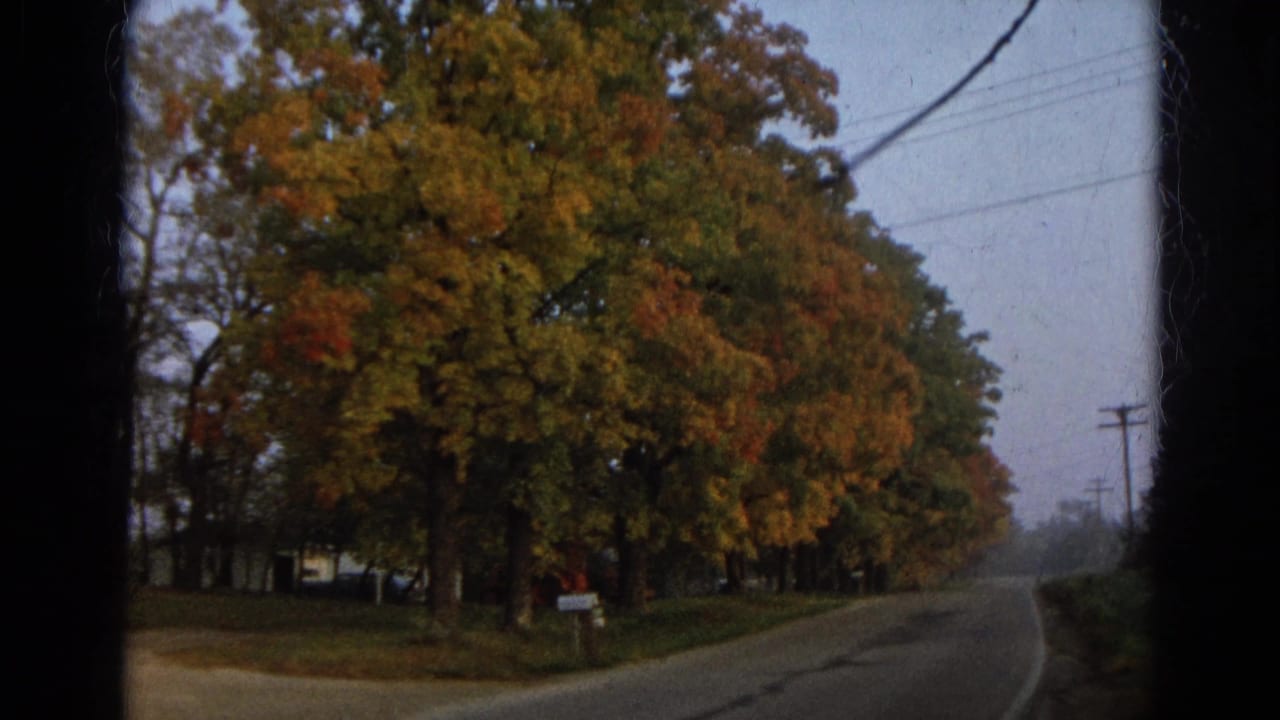 1968 Wauconda, Illinois 8mm frame showing a quiet paved road, autumn trees, overhead wires, and a grassy roadside.