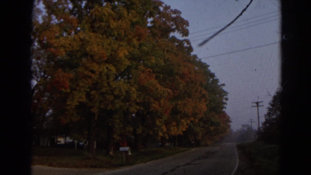 Roadside trees in fall color beside a quiet paved road.