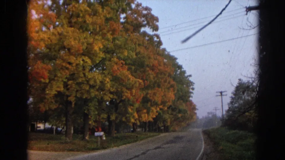 1968 Wauconda, Illinois 8mm frame looking from a moving car toward tall fall trees, roadside grass, wires, and the road ahead.