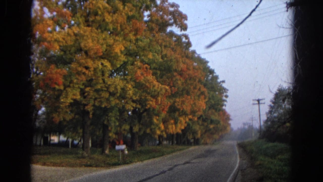 Curving road beside large autumn trees, a white mailbox, utility poles, and overhead wires.