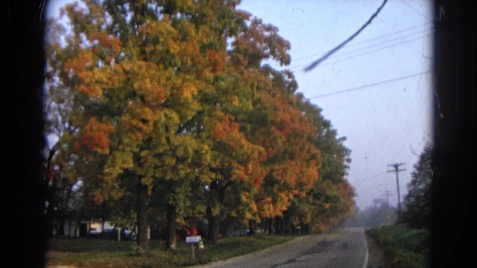 1968 Wauconda 8mm frame showing a closer roadside view of autumn foliage, a small mailbox, utility lines, and the road receding into haze.