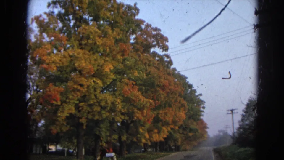 1968 Wauconda frame with a large autumn tree filling the foreground, roadside wires and pole visible against a hazy sky.