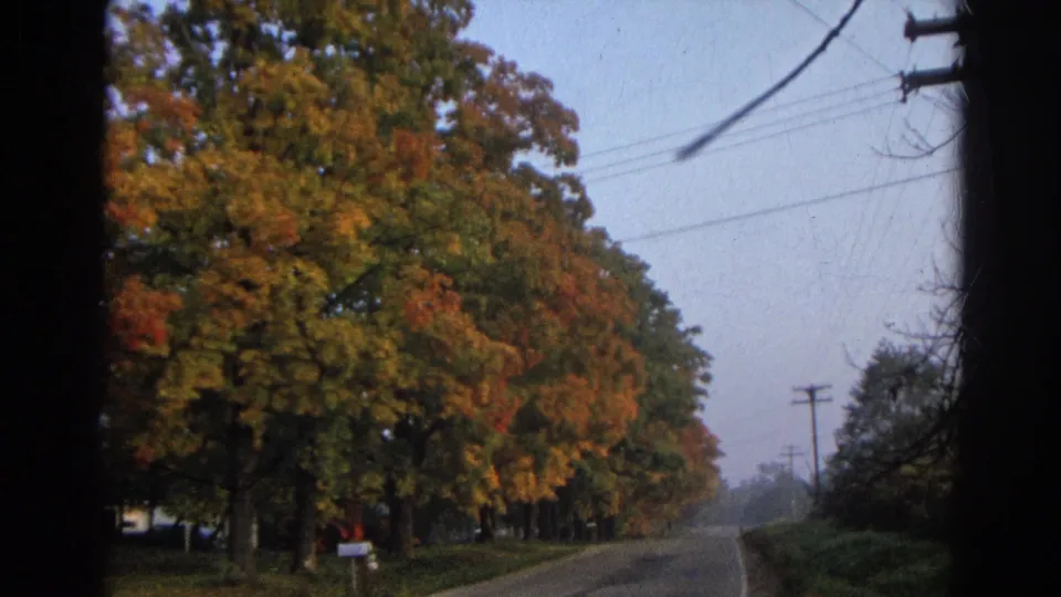 The Wauconda road continues into the distance beneath overhead wires, with fall trees, a mailbox, and houses partly visible through branches.