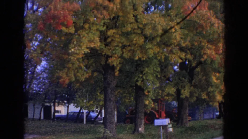 Closer 8mm view of Wauconda autumn trees with a white mailbox near the road and parked vehicles partly visible by houses in the background.