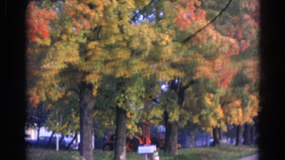 Soft, slightly blurred Wauconda frame showing fall foliage, a roadside mailbox, parked vehicles, and residential lawns near houses.