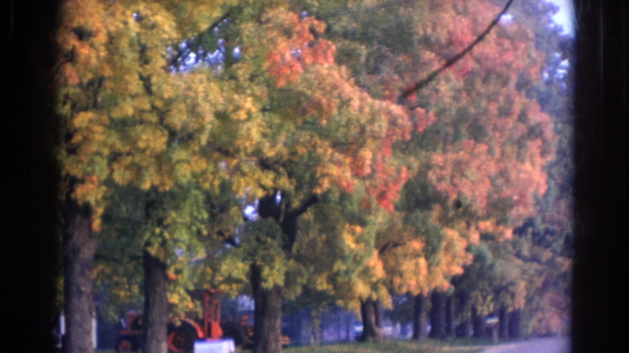 Autumn-colored trees line a quiet road with mist and a small red farm vehicle in the distance.
