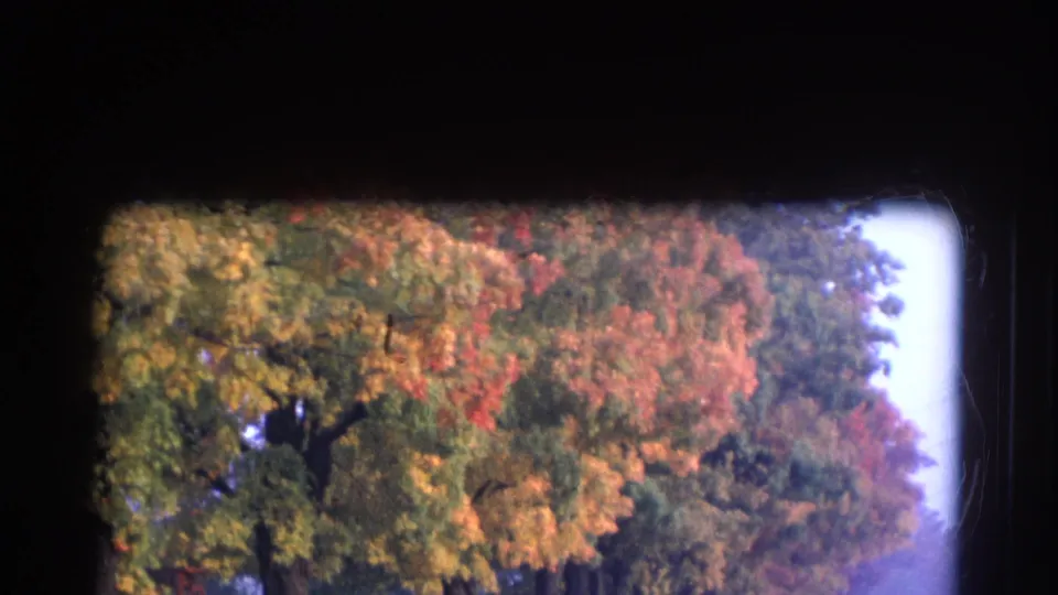 1968 Wauconda, Illinois 8mm frame with yellow and orange tree canopies, misty air, and dark rounded film borders.