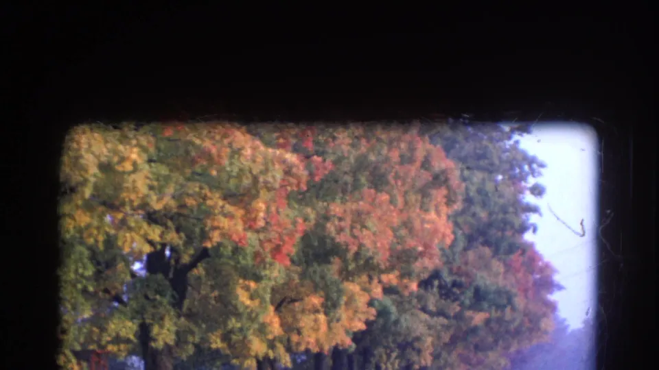 1968 Wauconda, Illinois 8mm frame showing dense fall foliage, a grassy roadside, soft haze, and rounded film edges.
