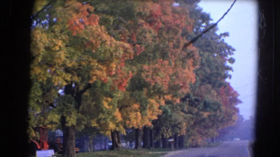 1968 Wauconda, Illinois 8mm frame showing a misty paved road lined with autumn trees and grass verge.