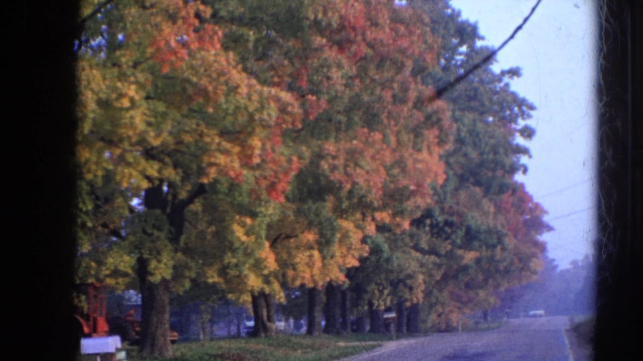 Tree-lined road with autumn foliage seen through a dark 8mm film frame.