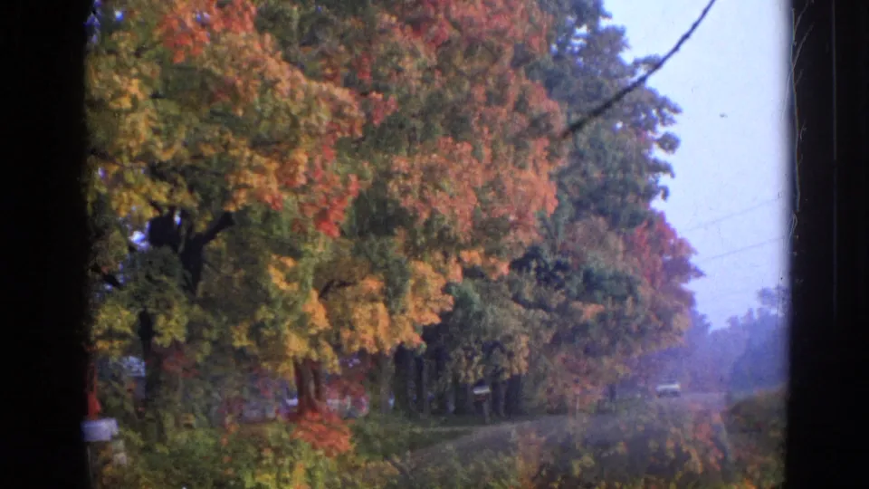 1968 Wauconda roadside scene with fall-colored trees, grass shoulder, faint distant road, and visible film-frame borders.