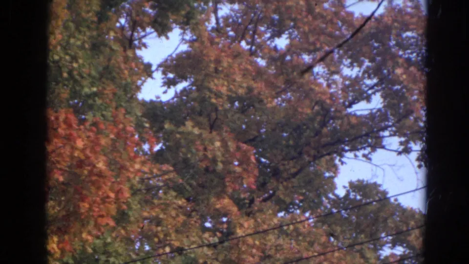1968 Wauconda, Illinois frame showing fall foliage below a pale sky with diagonal overhead wires.