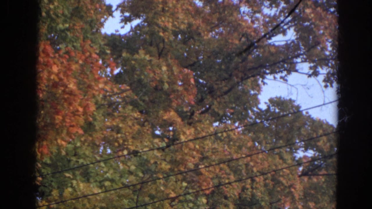 1968 Wauconda home-movie frame showing autumn trees, pale sky, overhead utility wires, and dark window or door framing.
