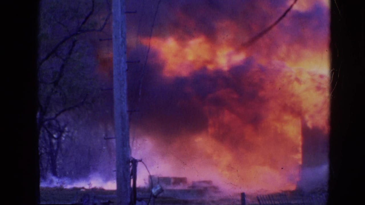 Flames and smoke fill the background behind trees, brush, and a utility pole.