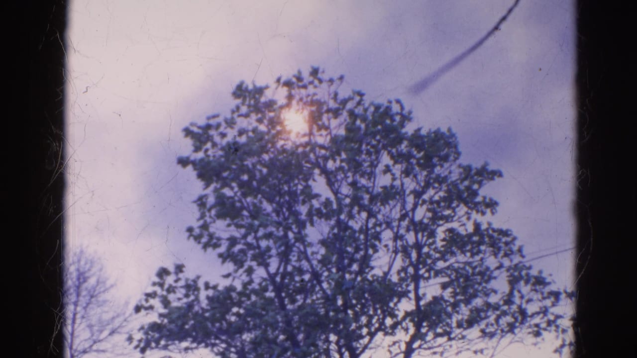 A brief 8mm cutaway shows the sun shining through a tree near the Wauconda fire scene, with visible film wear.