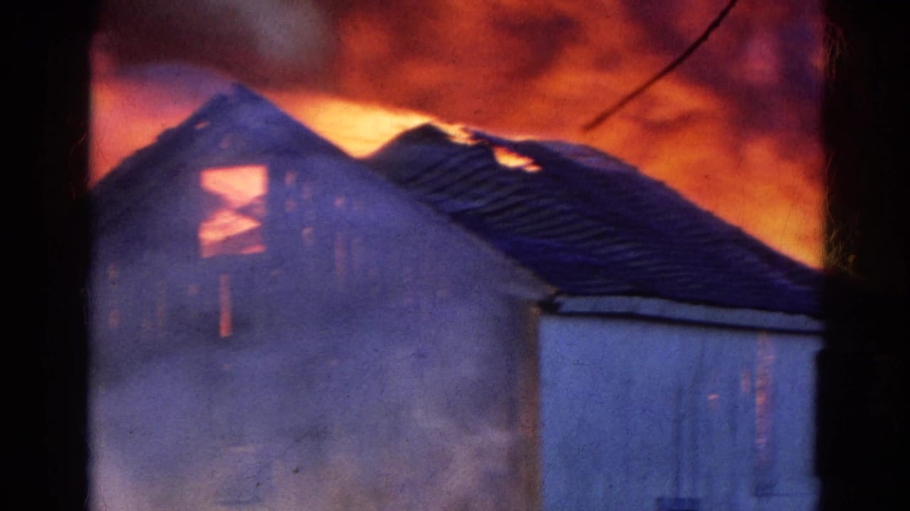 House roof burning with orange flames and smoke behind dark tree trunks.