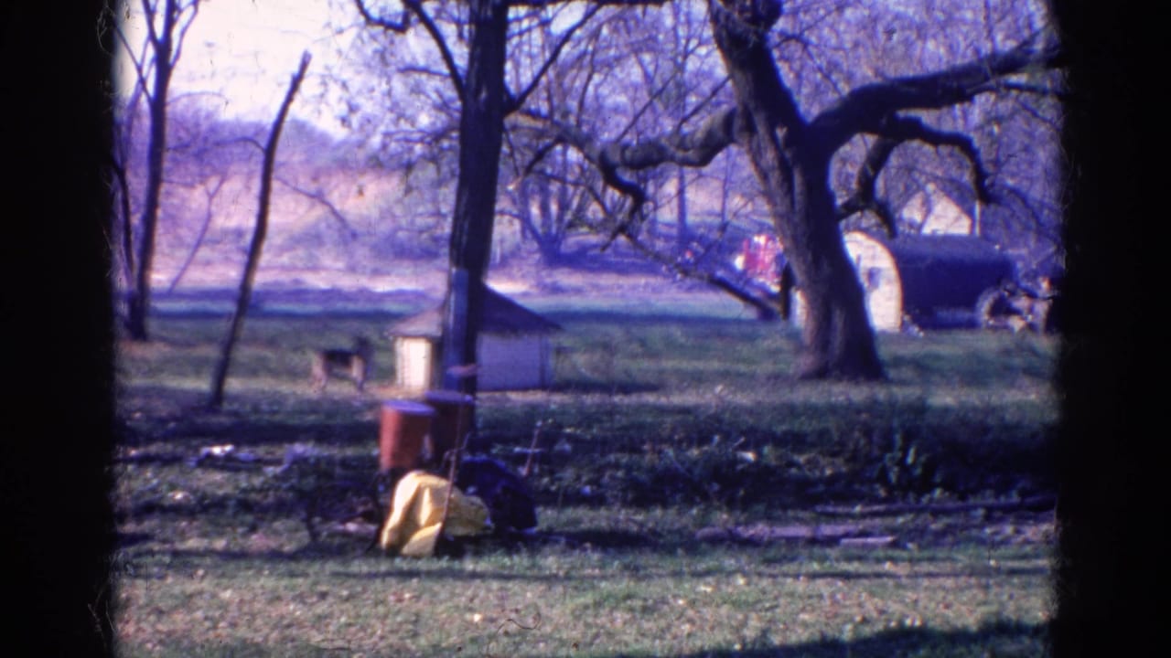 1968 8mm home-movie frame from Wauconda, Illinois, showing a dog near a small doghouse in a grassy field with trees and household items.
