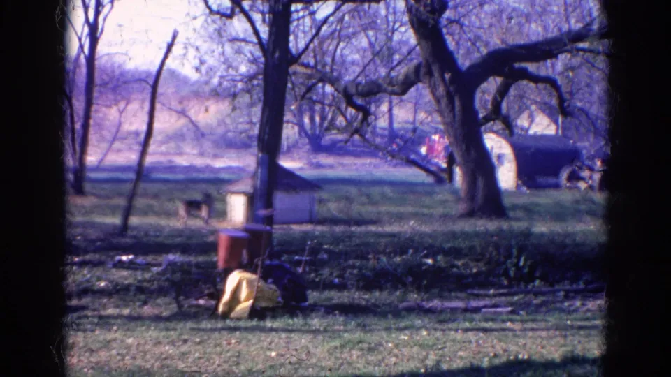 1968 8mm home-movie frame from Wauconda, Illinois, showing a dog near a small doghouse in a grassy field with trees and household items.