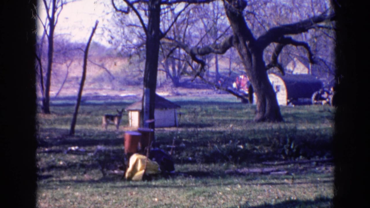Wauconda, Illinois home-movie frame showing a dog in a grassy field near a small doghouse, bare trees, and a dark trailer or shed in the background.