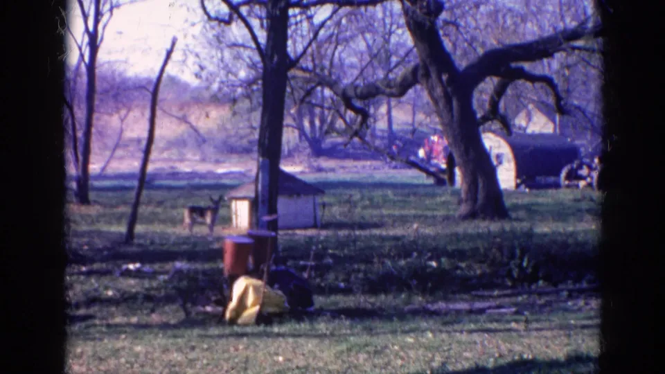 Wauconda, Illinois home-movie frame showing a dog in a grassy field near a small doghouse, bare trees, and a dark trailer or shed in the background.