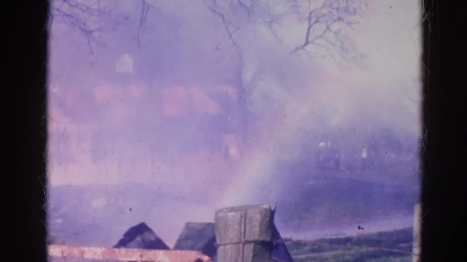 Smoke partially obscures the burning house in Wauconda, Illinois, with tree trunks and foreground posts framing the scene.