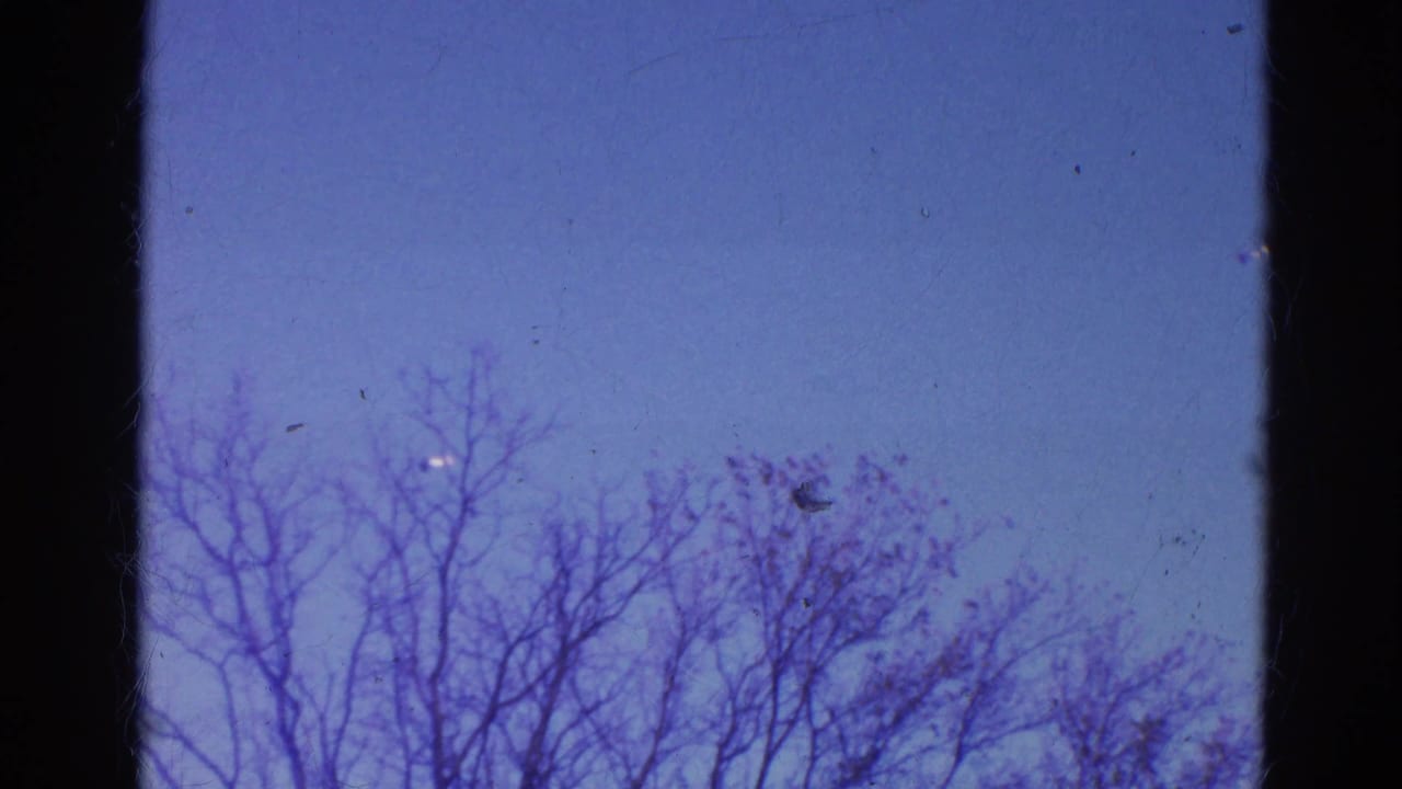 Blue sky with bare tree branches and dark film-frame borders.