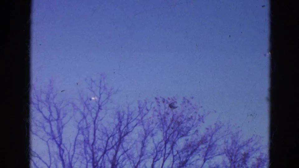 1968 Wauconda home-movie frame showing bare branches against a blue sky with visible 8mm gate edges.