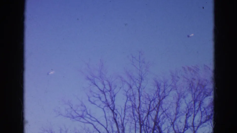 Metadata-supported 1968 Wauconda frame with leafless treetops low in the composition under open blue sky.