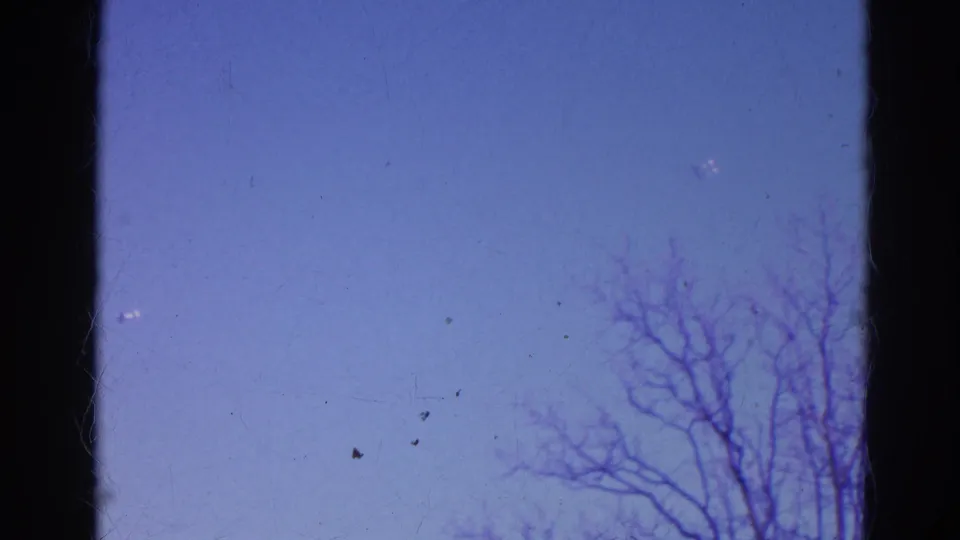 1968 Wauconda 8mm frame showing bare branches rising from the bottom edge into a cool blue sky.